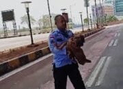 Bayi Laki-Laki Ditinggalkan di Terminal Pulogebang, Ibu Menghilang Tanpa Jejak