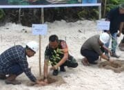 Kodim 1012 Buntok dan PT Nusa Lestari Indah (NLI) Tanam Ribuan Pohon di Dusun Utara untuk Pelestarian Alam
