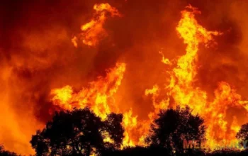 Hujan Pertama di Los Angeles, Harapan Baru Redakan Kebakaran Hutan