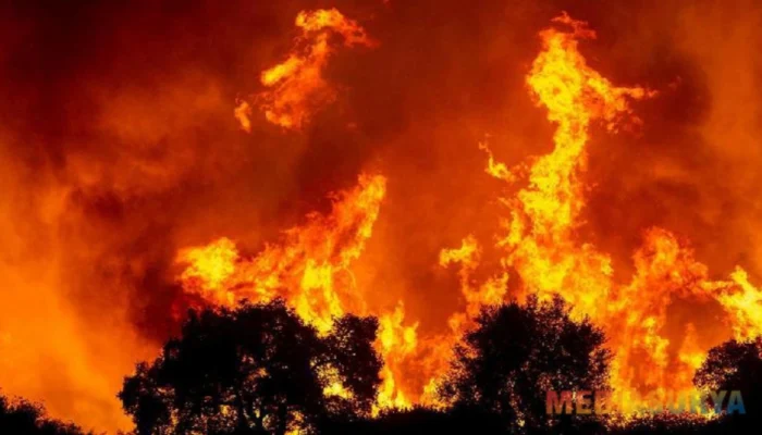Hujan Pertama di Los Angeles, Harapan Baru Redakan Kebakaran Hutan