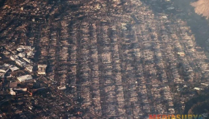 Kebakaran Hutan Los Angeles: Ribuan Hektar Lahan Hangus, Ratusan Ribu Warga Mengungsi