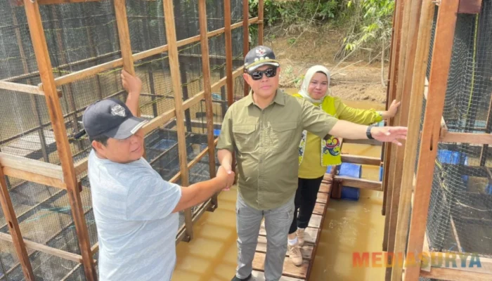 Pj Bupati Barsel Tinjau Keramba Ikan, Dorong Budidaya dan Ekonomi Warga