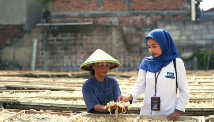 Holding Ultra Mikro Sukses Naikkan Kelas 1,84 Juta Nasabah, Kemenko PM Apresiasi