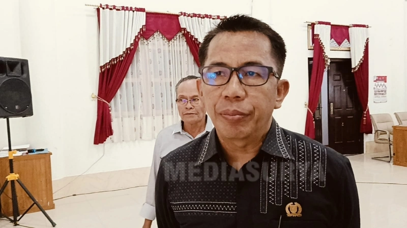 Wakil Ketua I DPRD Barito Selatan (Barsel), Kalimantan Tengah (Kalteng), Ideham (foto: MediaSurya/dok)
