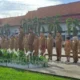 Bupati dan Wakil Bupati Barito Selatan memimpin Apel Besar perdana di halaman Kantor Bupati Barsel, diikuti jajaran ASN setempat, Senin (3/3). (foto: MediaSurya/akhmad madani)