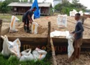 Karung Bekas Jadi Solusi Efektif Satgas TMMD Kodim 1012/Buntok Angkut Material Jalan