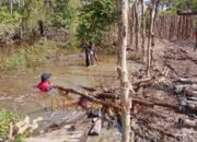 memasang cerucuk di medan berlumpur Basah-basahan di Medan Ekstrem, Satgas TMMD Kejar Pemasangan Cerucuk di Desa Talio