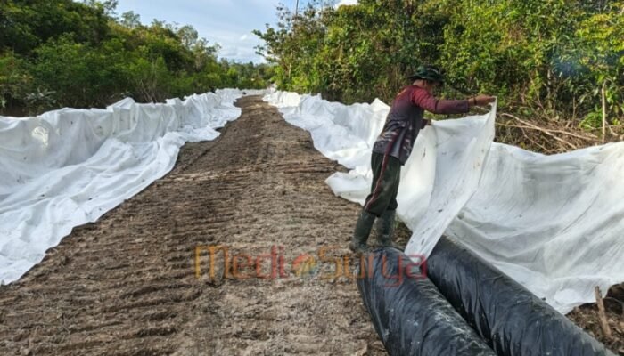 Satgas TMMD Pasang Geotekstil di Talio, Perkuat Struktur Jalan Demi Ketahanan Jangka Panjang