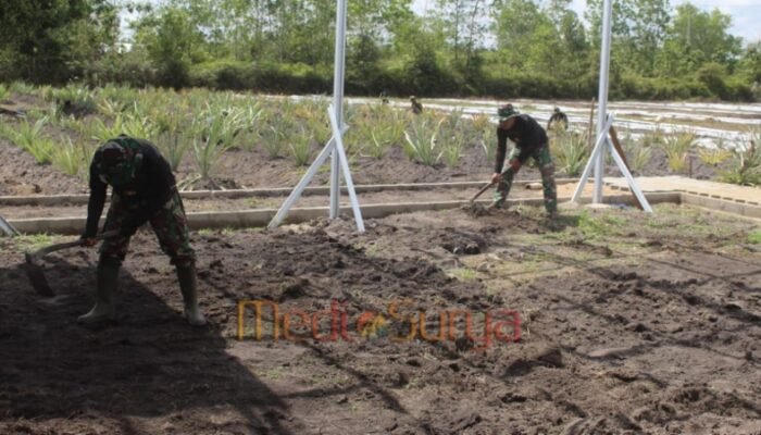 Satgas TMMD Kodim 1012/Buntok Gunakan Cangkul Bersihkan Lahan Pertanian untuk Dukung Ketahanan Pangan