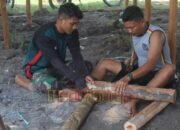 menyiapkan bahan kayu Satgas TMMD Kodim 1012/Buntok Siapkan Pembuatan Kandang Ayam Tingkatkan Ketahanan Pangan