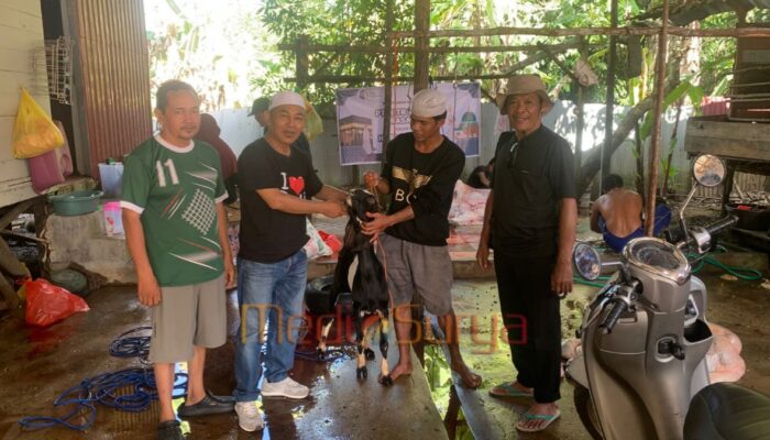 PT MUTU Tebar 51 Hewan Kurban untuk Desa Ring 1 dan Instansi Pemerintah