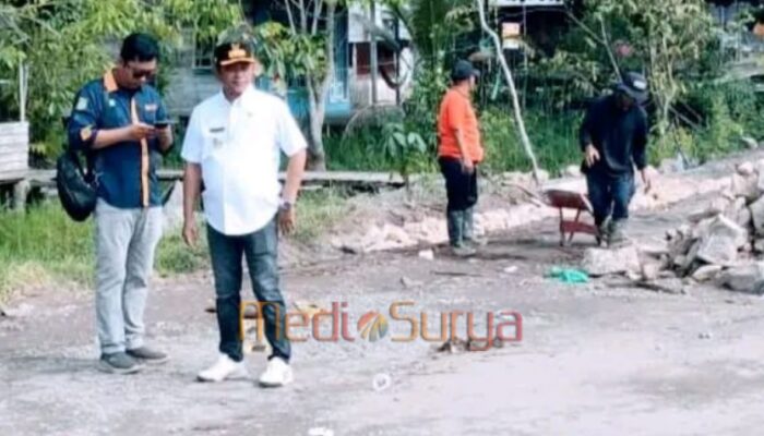 Jalan Nasional di Pararapak Rusak Parah, Wabup Barsel: Truk Jangan Sampai Terperosok Lagi
