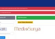 Status Penerima PIP 2025 Bisa Dicek Online, Begini Langkahnya
