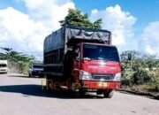 Pemkab Barsel Tanggap Cepat Perbaiki Jalan Rusak di Pararapak, Warga Apresiasi Aksi Nyata