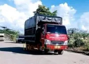 Sebuah truk melintas di jalan Desa Pararapak Pemkab Barsel Tanggap Cepat Perbaiki Jalan Rusak di Pararapak, Warga Apresiasi Aksi Nyata