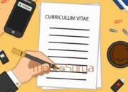 Contoh Profil CV Fresh Graduate yang Menarik dan Tips Lolos HRD