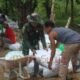 Karung Beras Bekas Jadi Solusi Kreatif Angkut Sirtu, Warga dan Satgas TMMD Gotong Royong Bangun Jalan