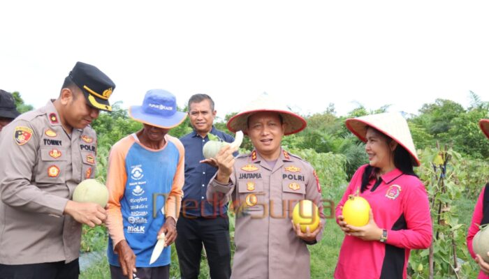 Dukung Ketahanan Pangan, Polres Barsel Panen Melon Bersama Kelompok Tani