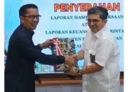 Wakil Ketua DPRD Barsel: WTP Jadi Kado Istimewa 100 Hari Kerja Bupati dan Wabup