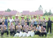 Dukung Asta Cita Presiden, Polres Barsel Panen 500 Kg Jagung di Lahan Ketahanan