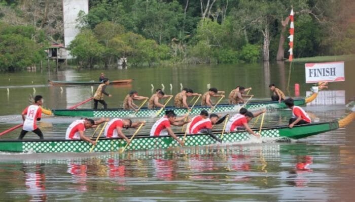 Meriah! Lomba Dayung Tradisional Barsel 2025 Ditutup dengan Pesta Juara Lokal