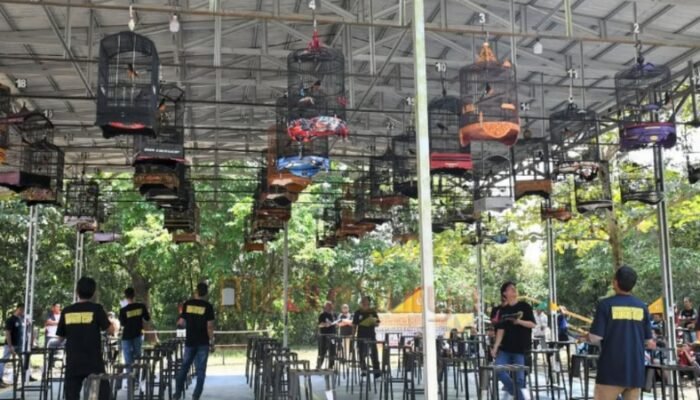 Wakili Bupati, Asisten II Setda Barsel Buka Lomba Burung Berkicau 2025