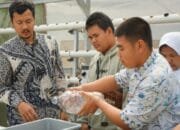 Pelatihan Hidroponik di SLB Agro Industri Kembangkan Kemandirian Siswa Berkebutuhan Khusus