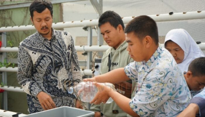 Pelatihan Hidroponik di SLB Agro Industri Kembangkan Kemandirian Siswa Berkebutuhan Khusus