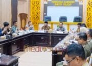 Bentuk Satgas PETI, Data Tunjukkan 195 Tambang Emas Ilegal di DAS Barito