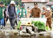 Wabup Barsel: Tanam Padi Bersama Wujud Komitmen Ketahanan Pangan Daerah