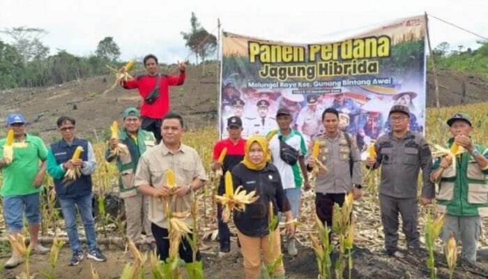 Wakili Bupati Buka Gerakan Pangan Murah, Asisten I Setda Barsel Tegaskan Pentingnya Stabilitas Harga