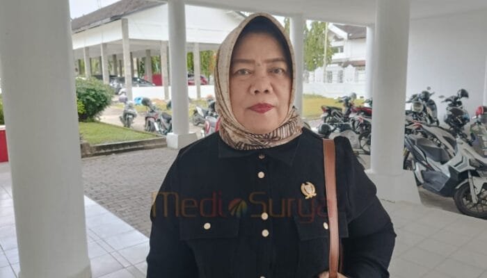 Warga Palurejo Minta Tiang Listrik Diganti Standar PLN, DPRD Barsel Respons